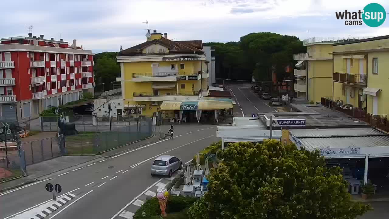 Livecam Rosolina mare