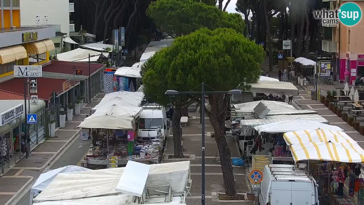 Livecam Rosolina mare