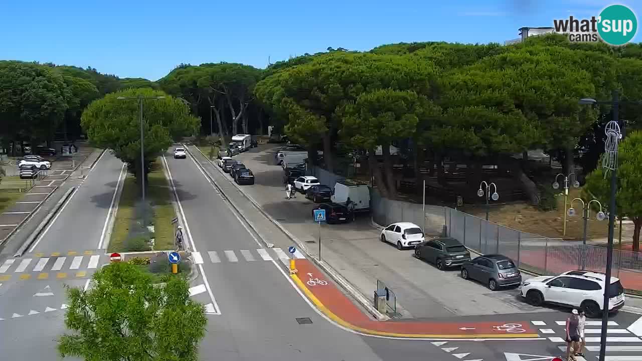 Livecam Rosolina mare