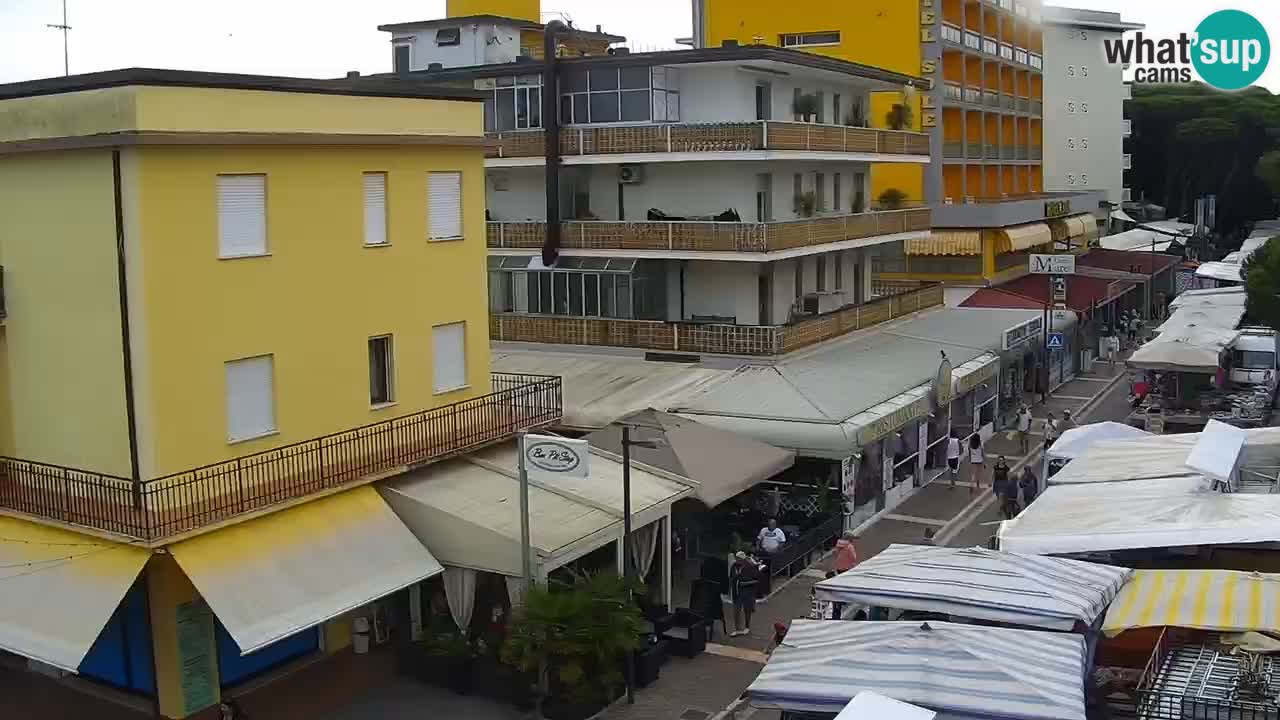 Livecam Rosolina mare