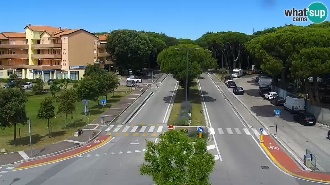 Camera en vivo Rosolina mare