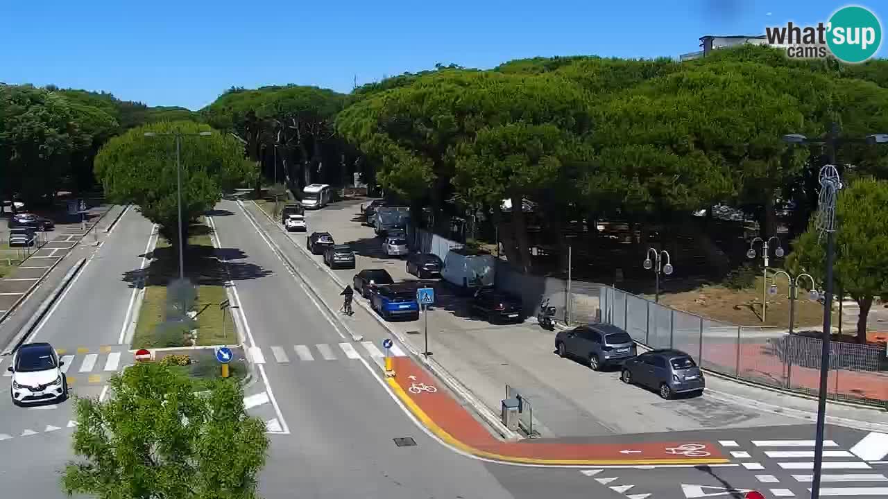 Camera en vivo Rosolina mare