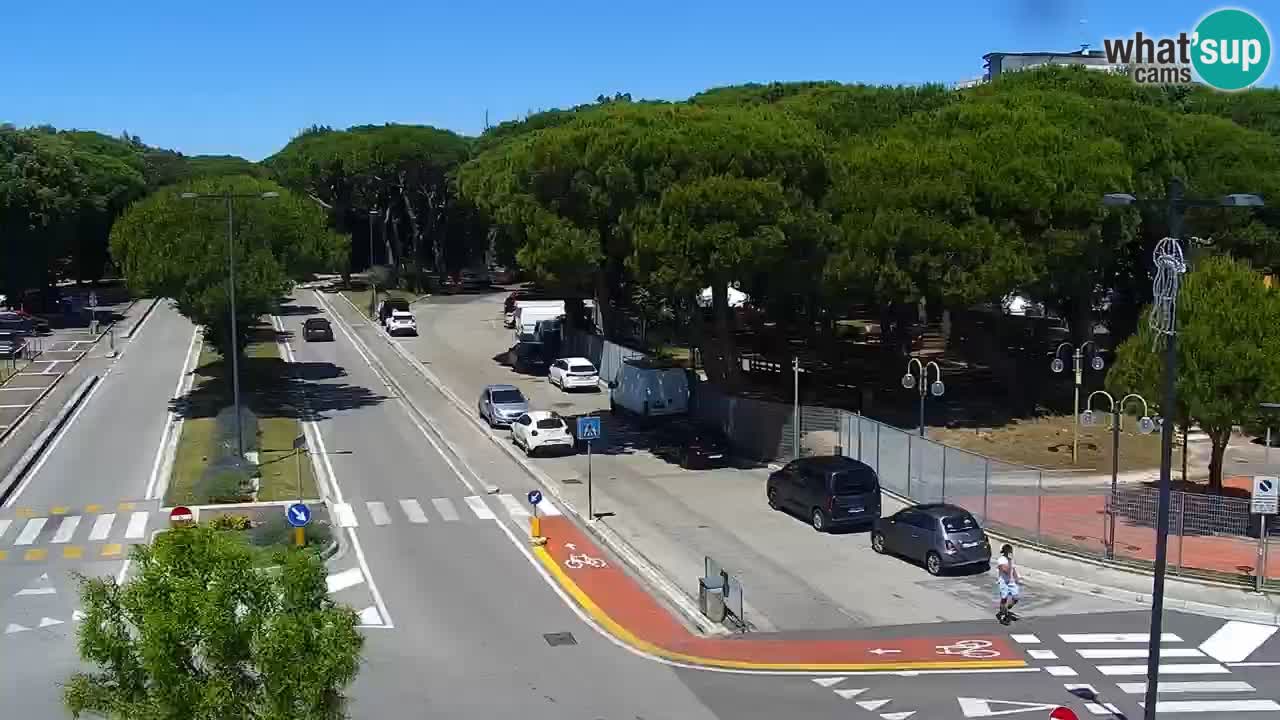 Camera en vivo Rosolina mare