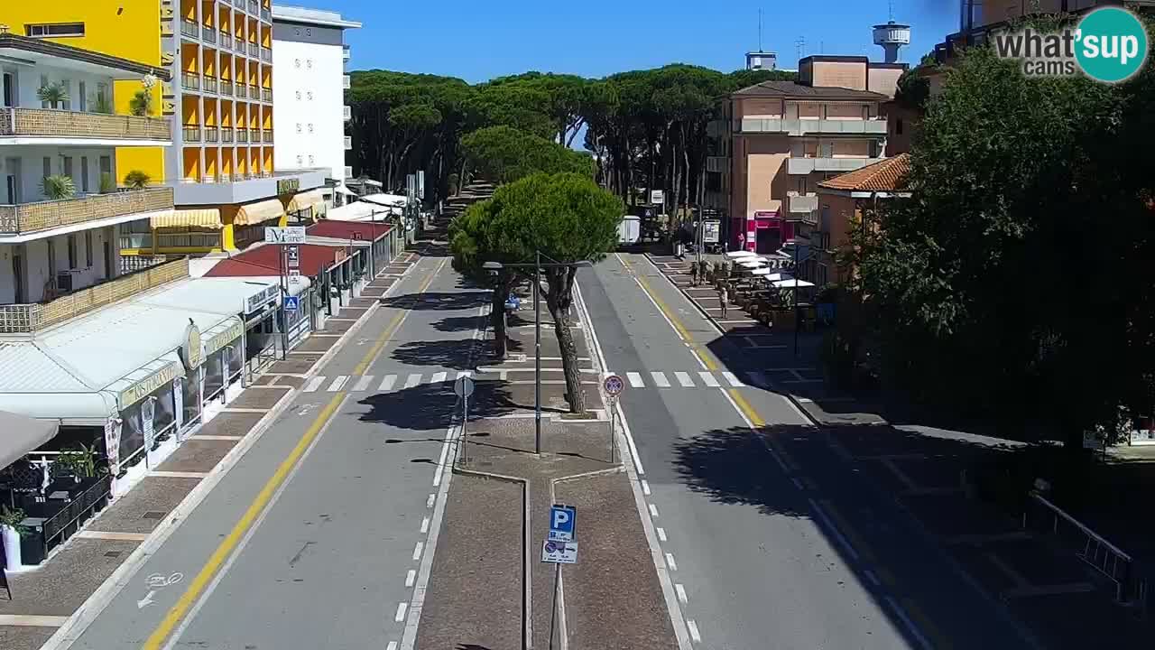 Camera en vivo Rosolina mare