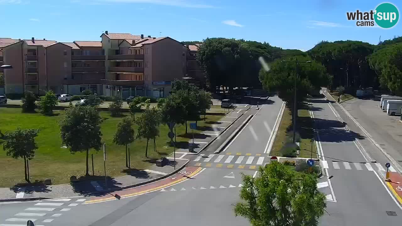 Livecam Rosolina mare