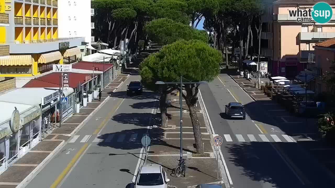 Livecam Rosolina mare