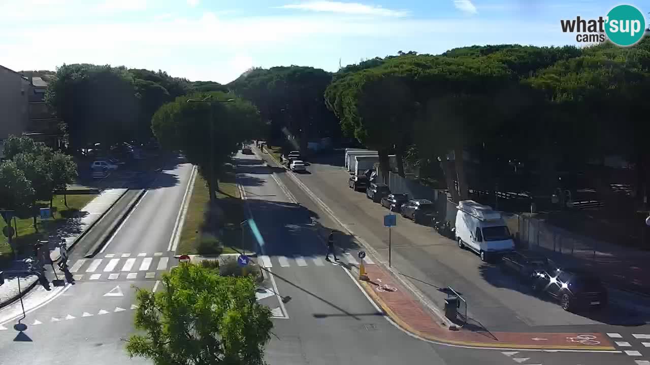 Livecam Rosolina mare