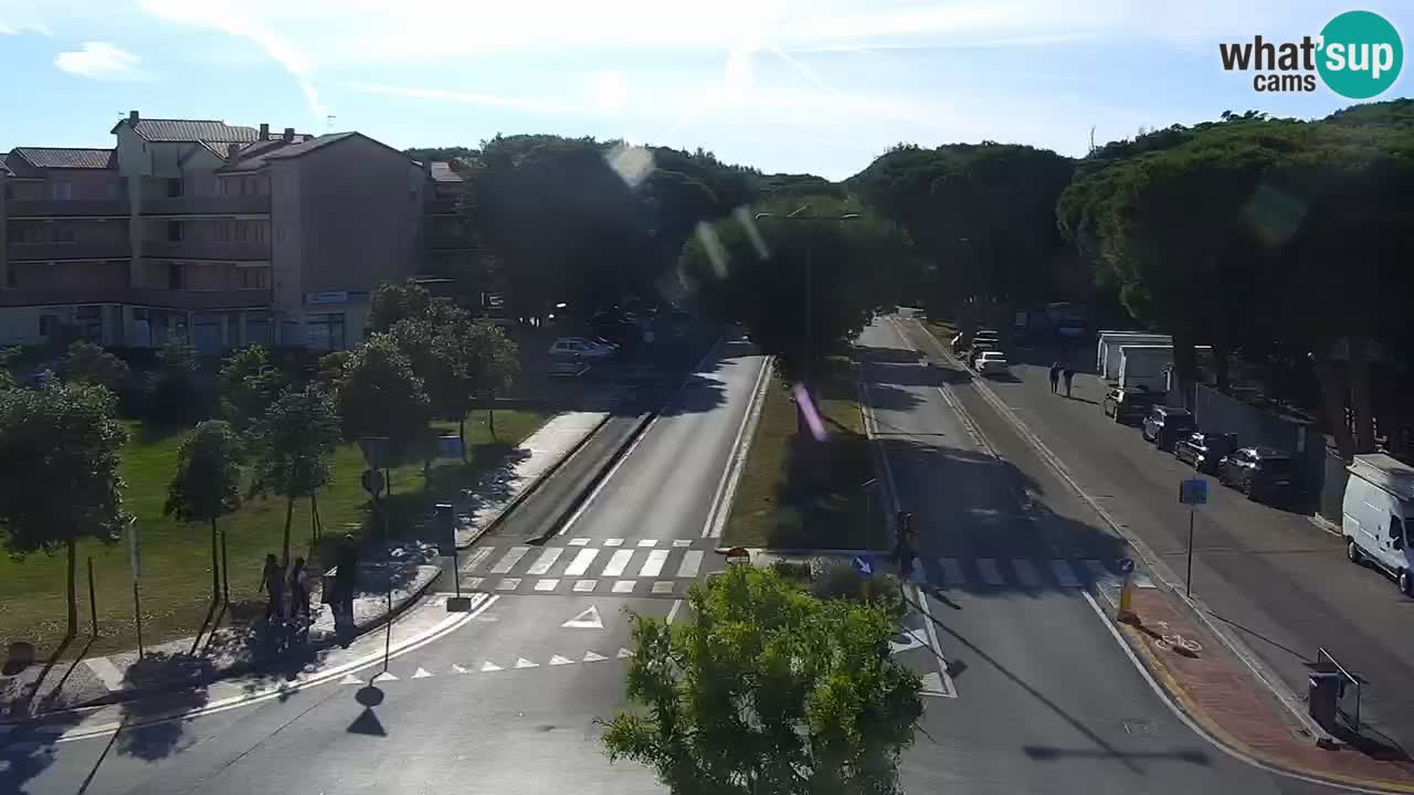 Camera en vivo Rosolina mare