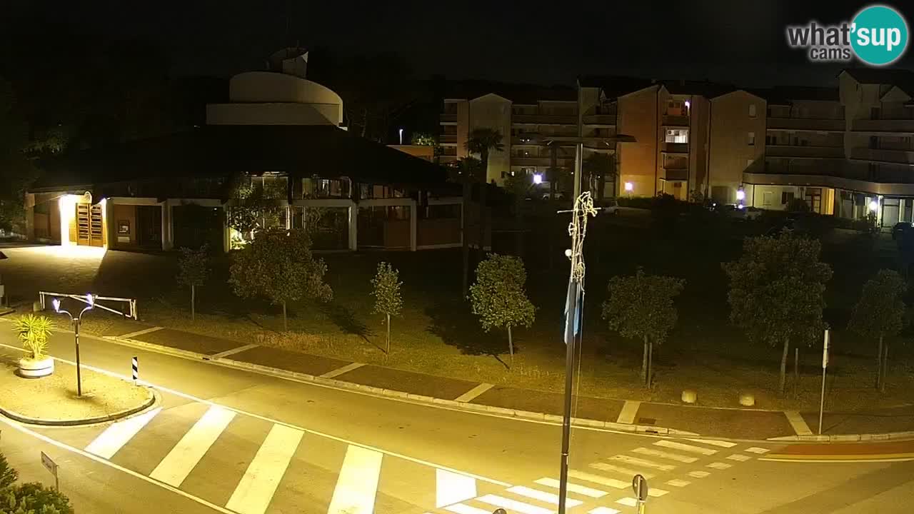 Livecam Rosolina mare