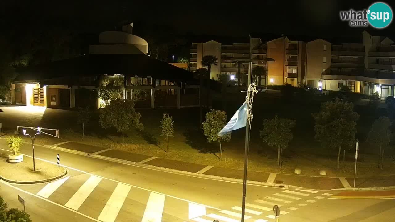Livecam Rosolina mare