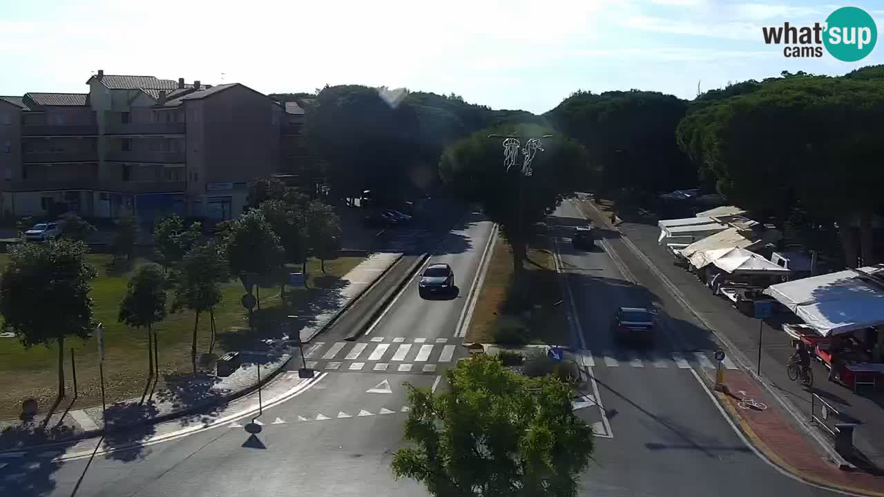 Camera en vivo Rosolina mare