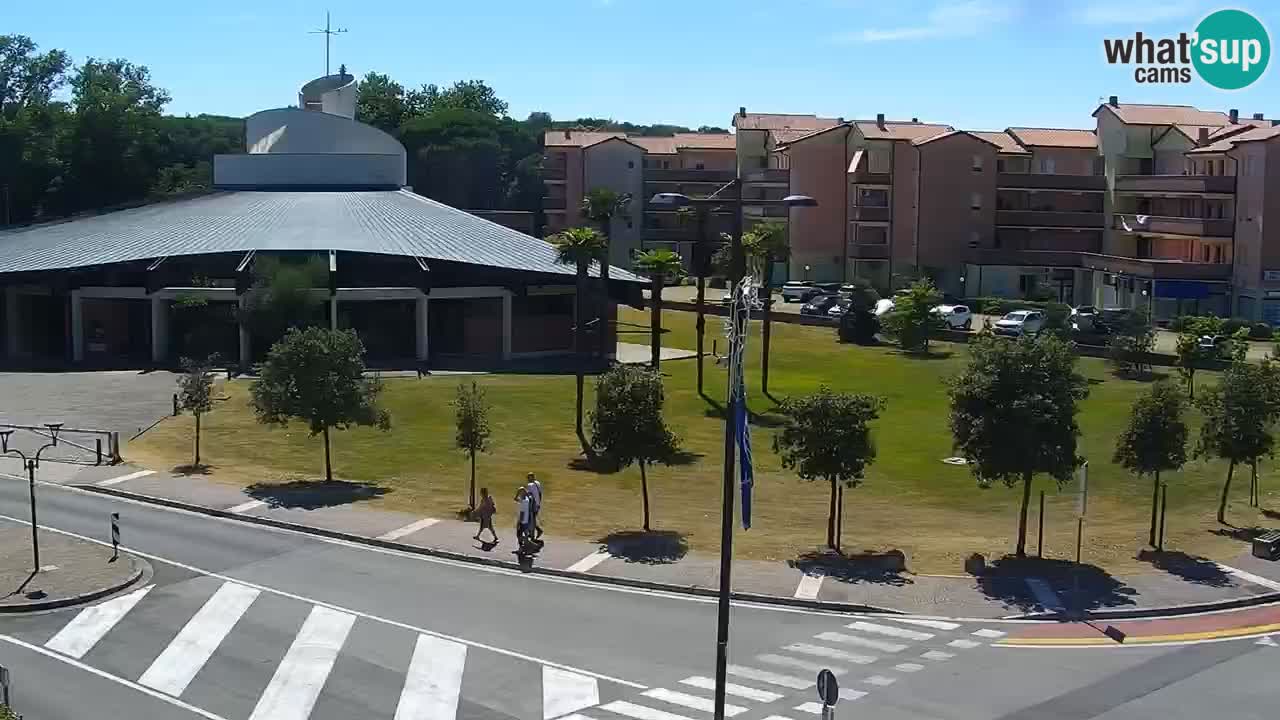 Livecam Rosolina mare