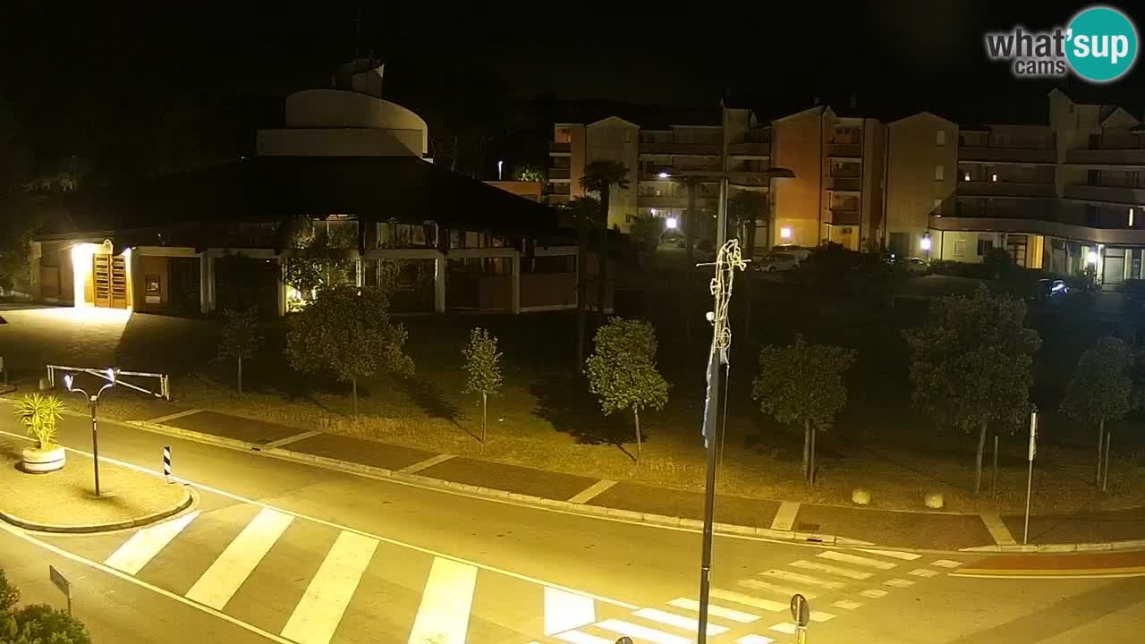 Camera en vivo Rosolina mare