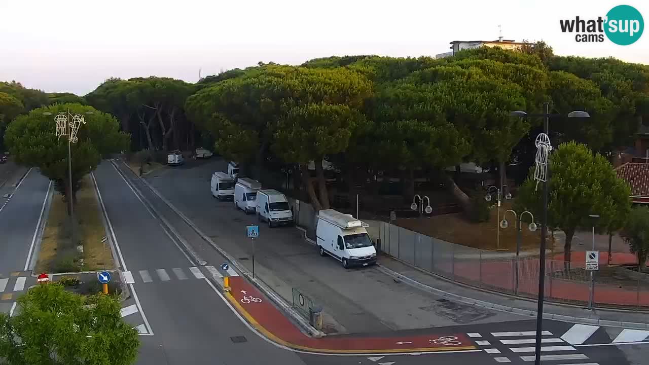 Camera en vivo Rosolina mare
