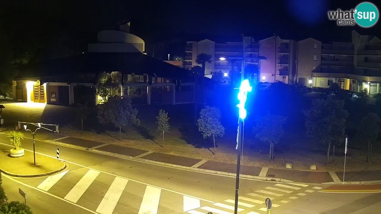 Camera en vivo Rosolina mare