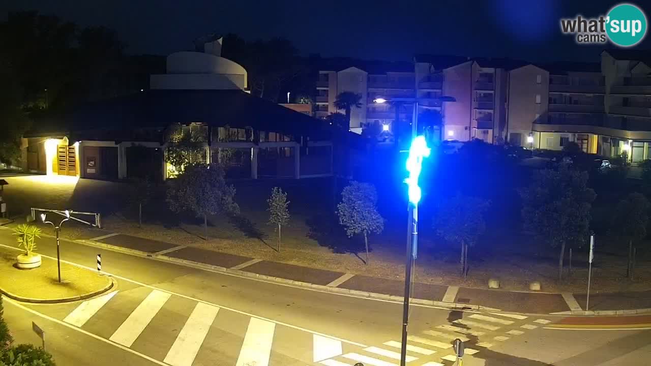 Camera en vivo Rosolina mare