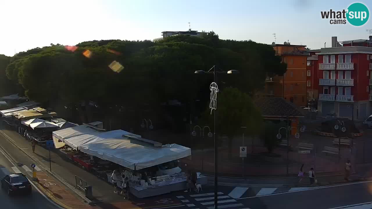 Camera en vivo Rosolina mare