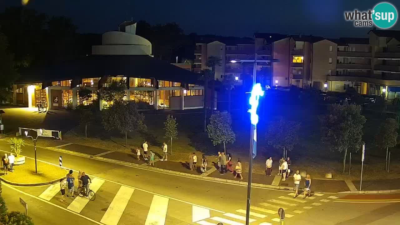Camera en vivo Rosolina mare