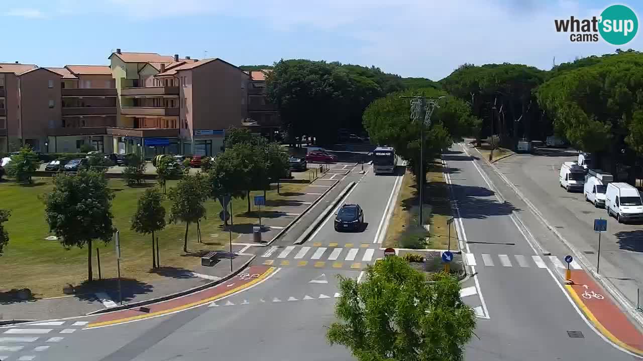 Livecam Rosolina mare