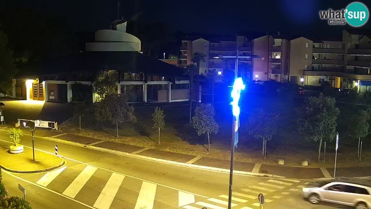 Camera en vivo Rosolina mare