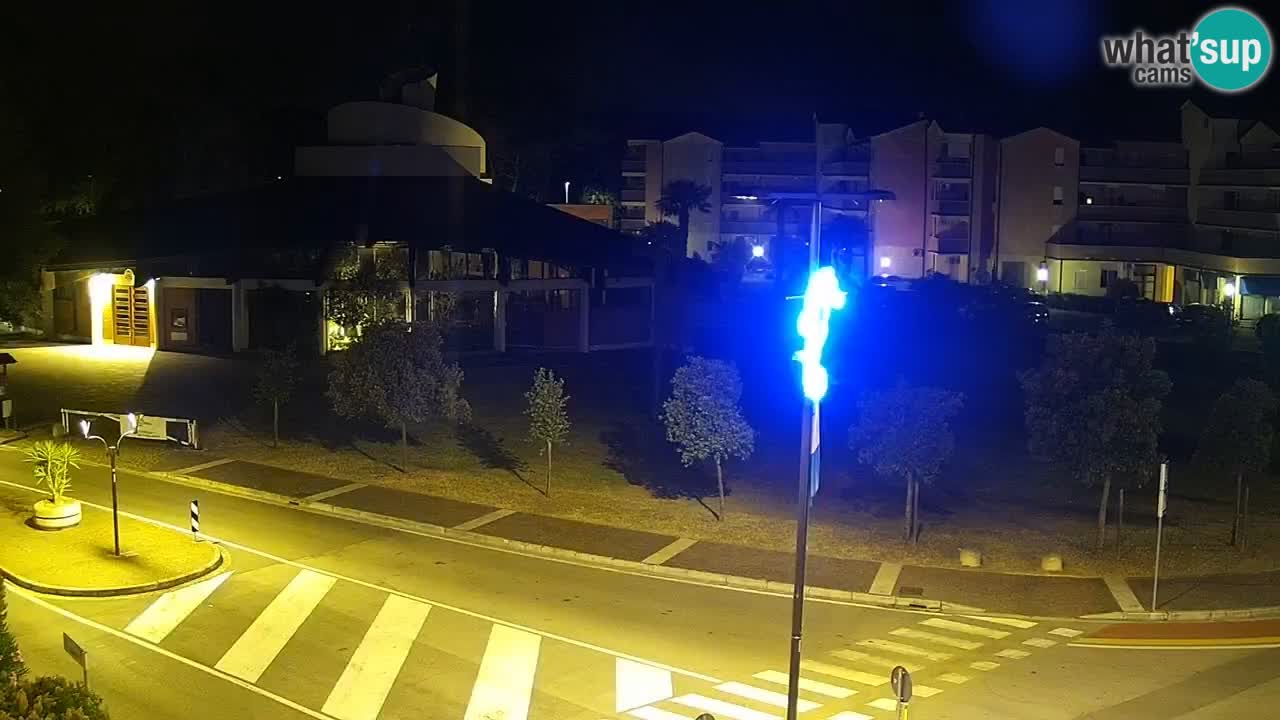 Camera en vivo Rosolina mare