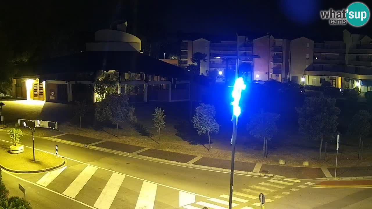 Camera en vivo Rosolina mare