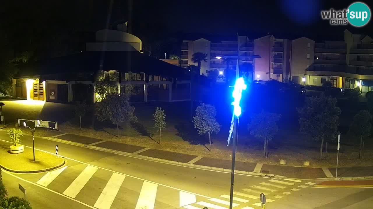 Camera en vivo Rosolina mare