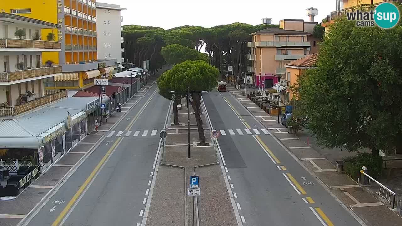 Livecam Rosolina mare