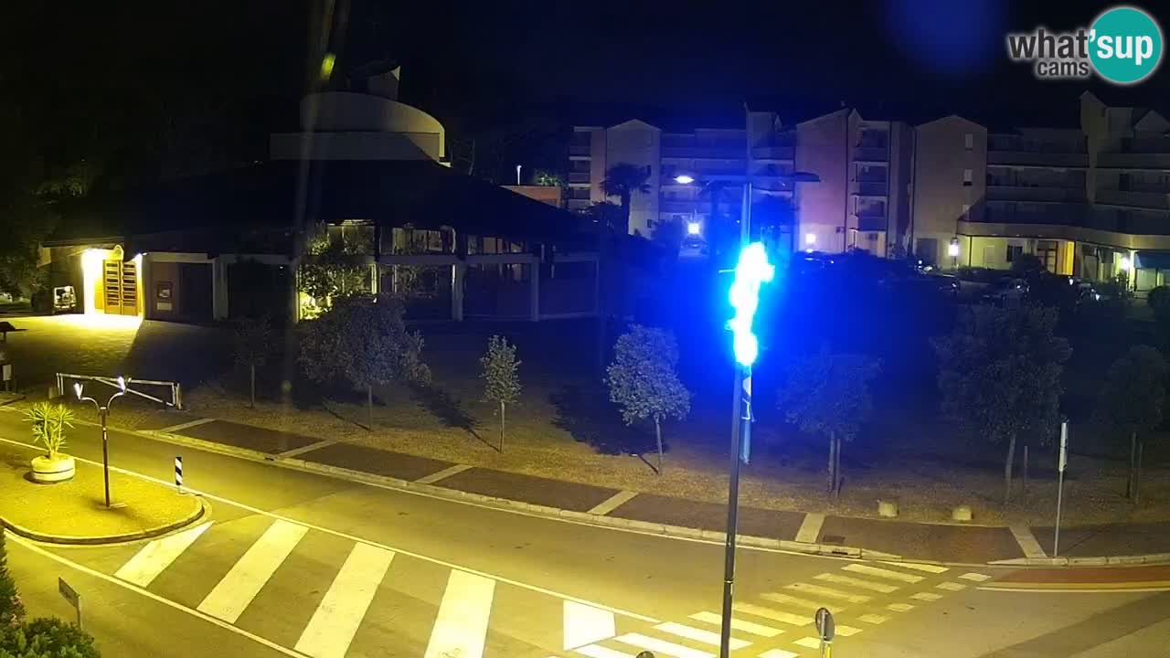 Livecam Rosolina mare