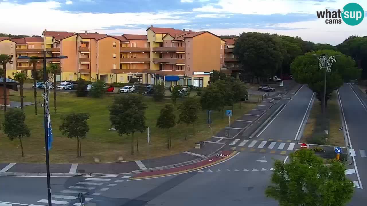 Camera en vivo Rosolina mare