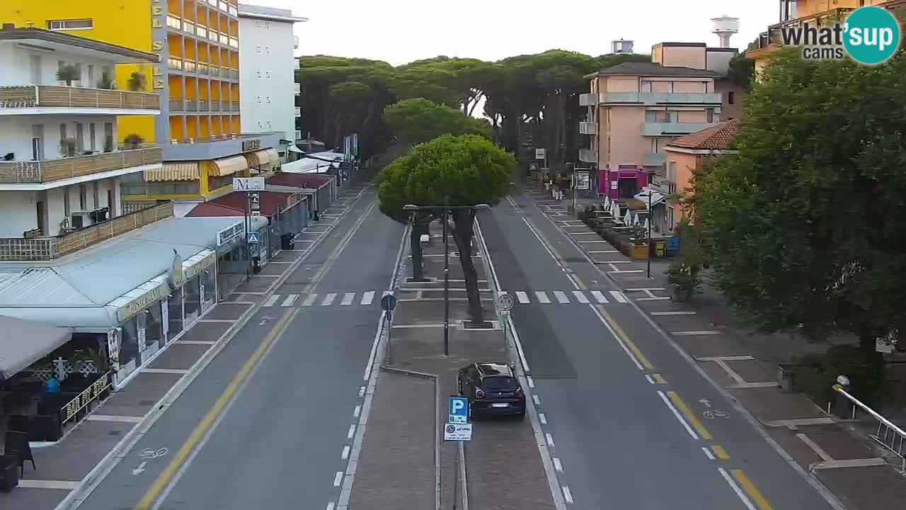 Camera en vivo Rosolina mare