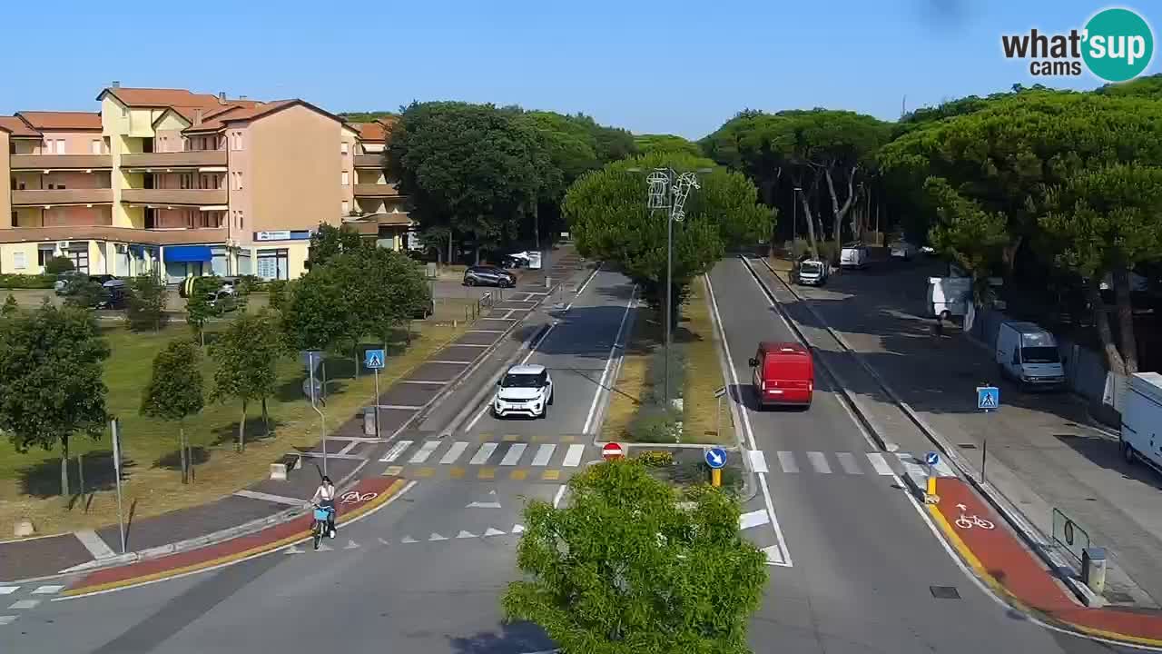 Livecam Rosolina mare