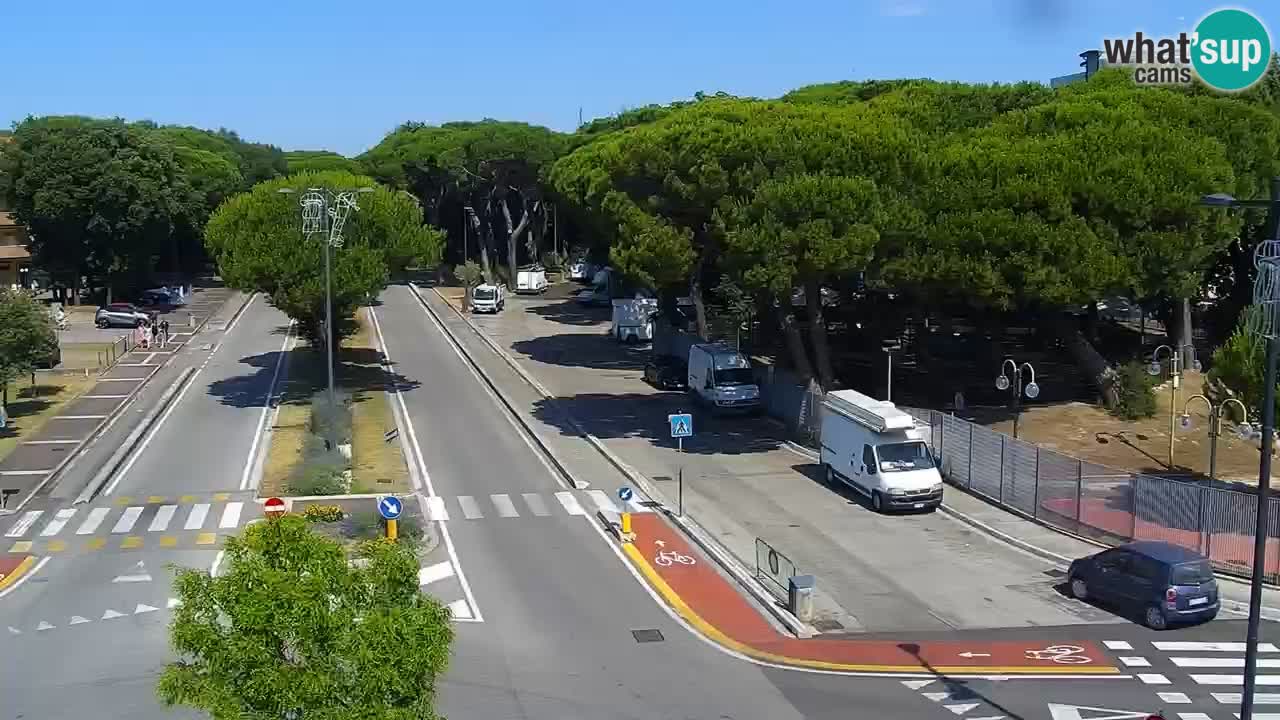 Livecam Rosolina mare