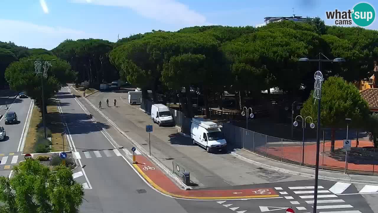 Livecam Rosolina mare