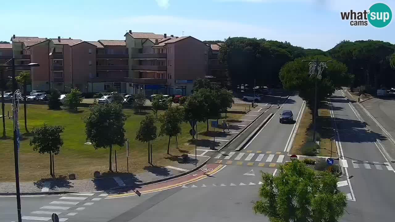 Camera en vivo Rosolina mare