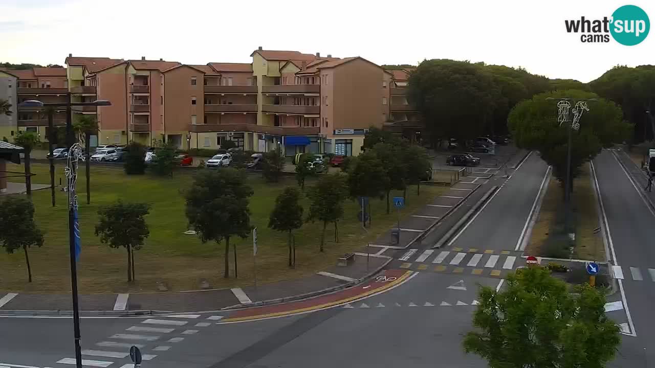Camera en vivo Rosolina mare