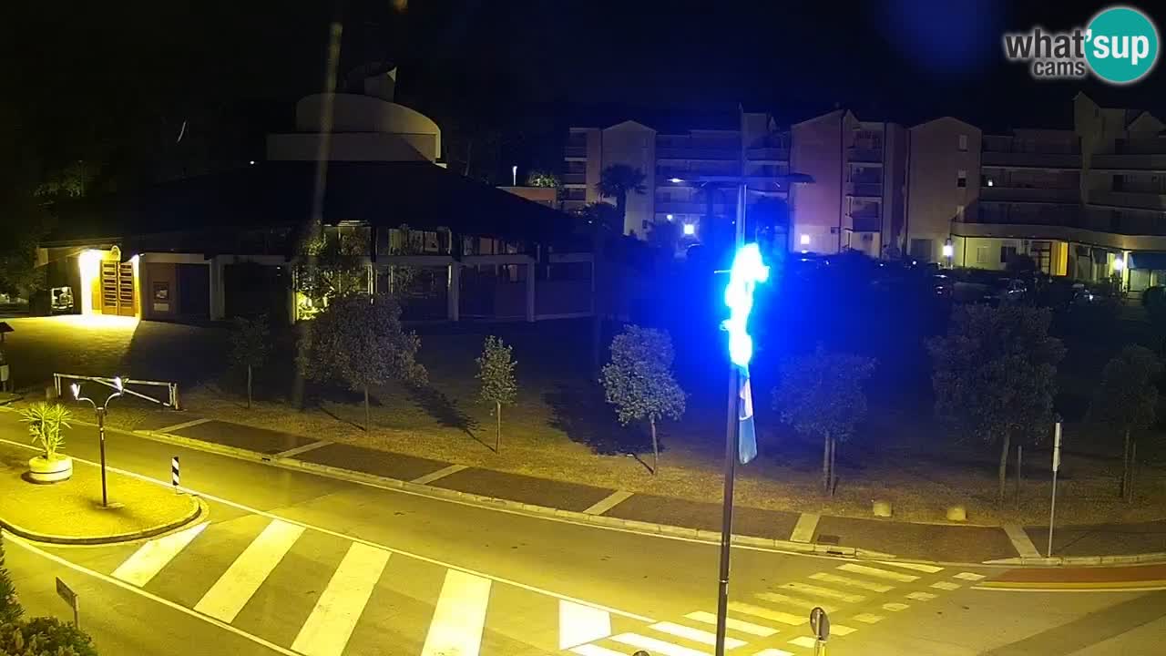 Livecam Rosolina mare