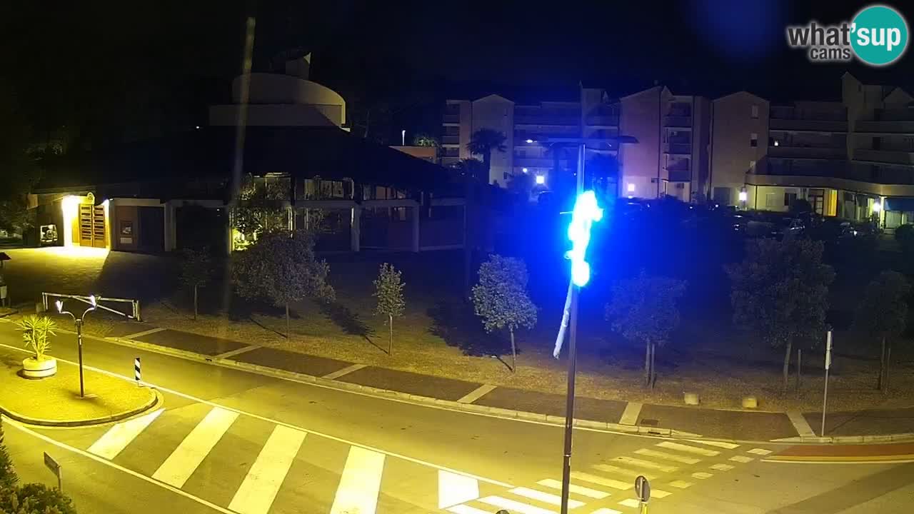 Camera en vivo Rosolina mare