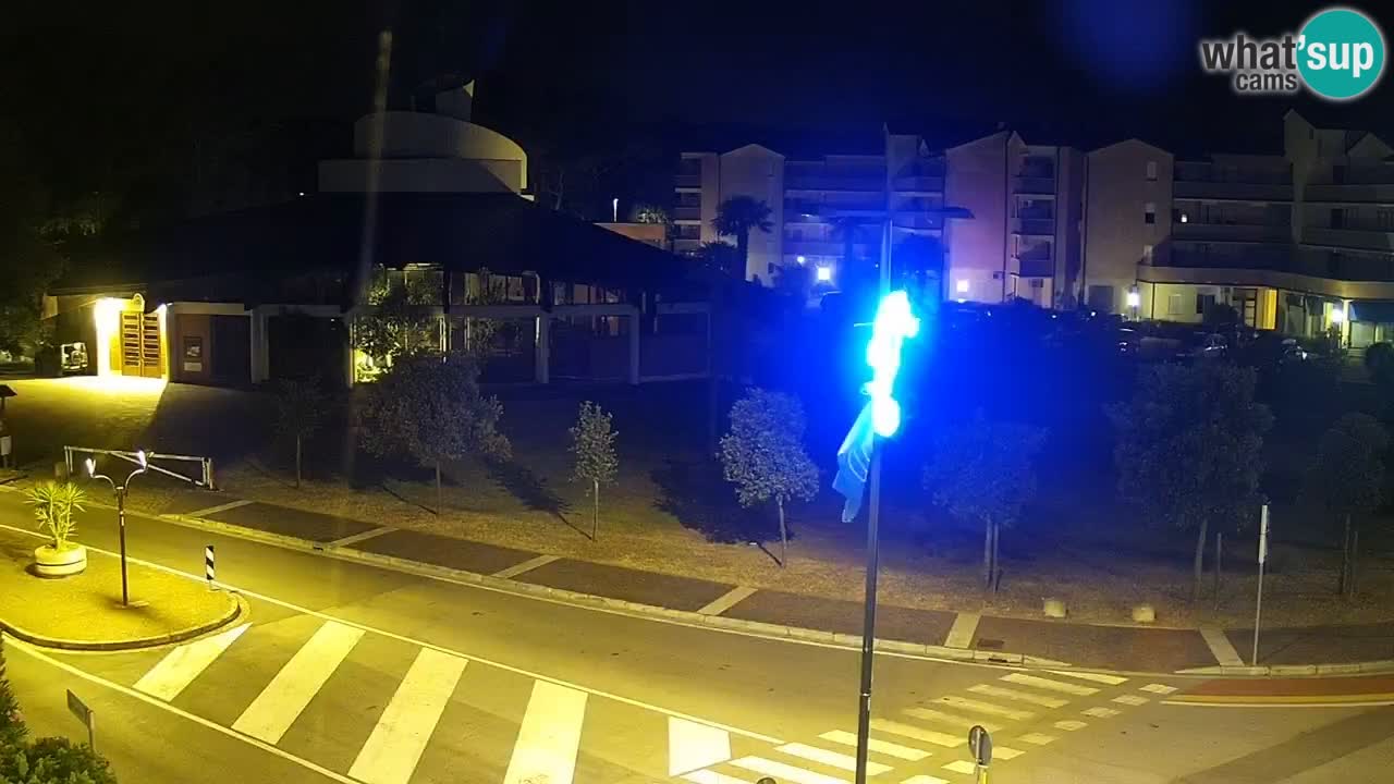 Livecam Rosolina mare