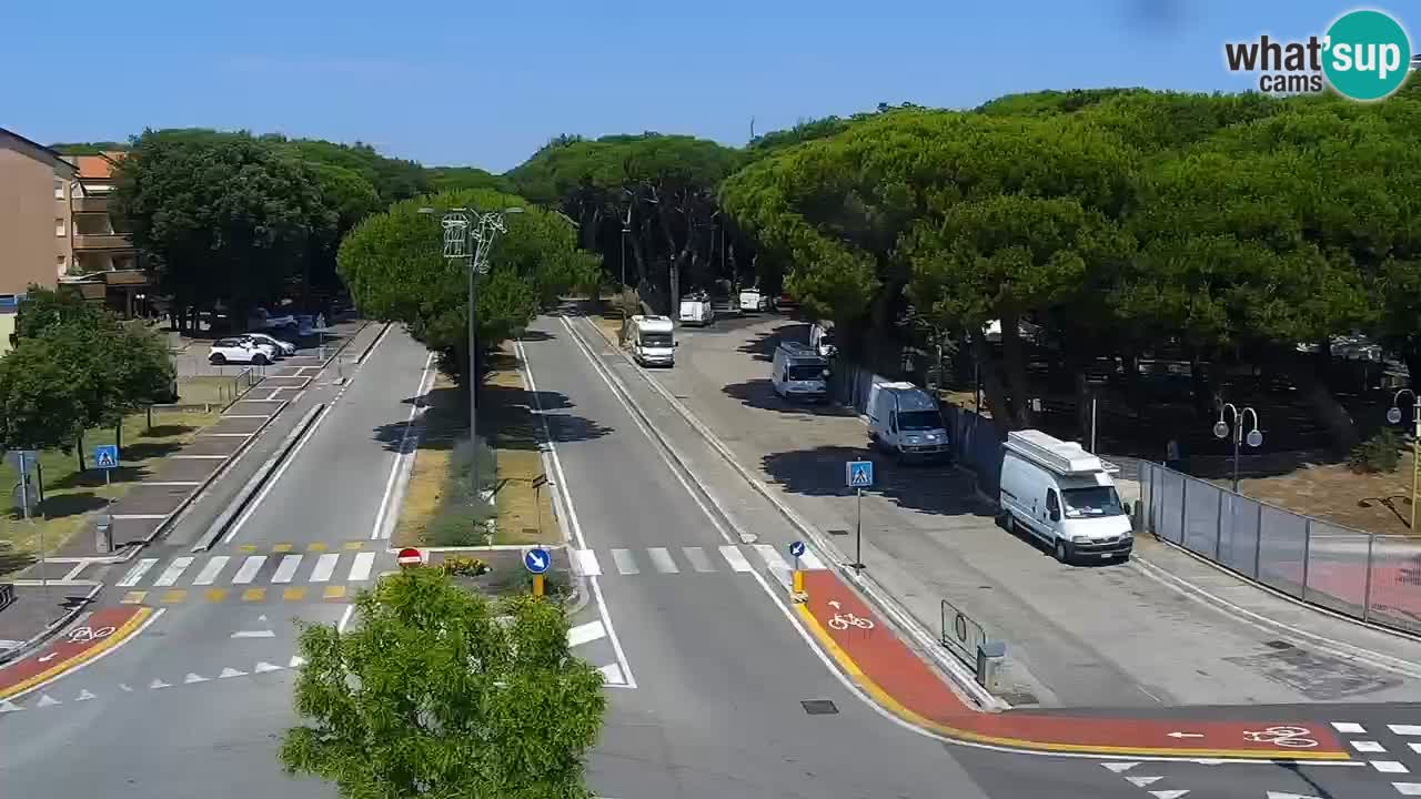 Livecam Rosolina mare
