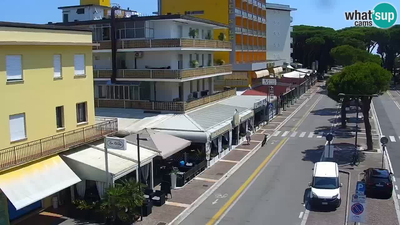 Livecam Rosolina mare