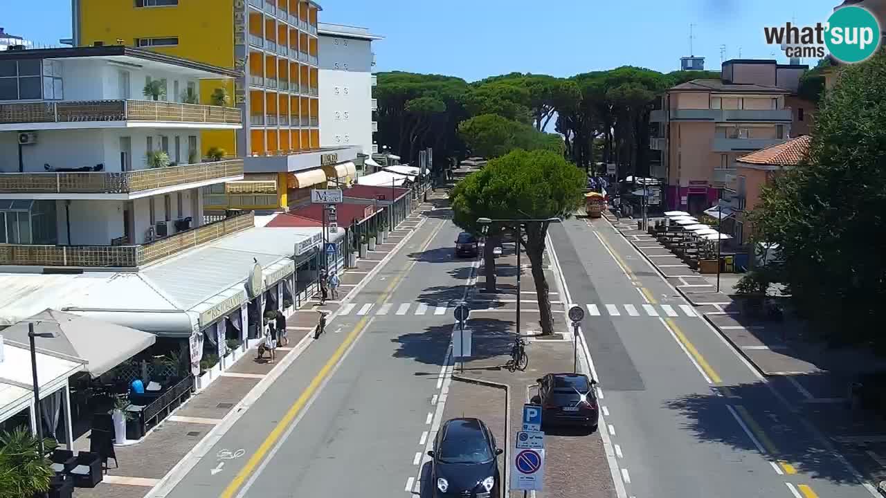 Livecam Rosolina mare