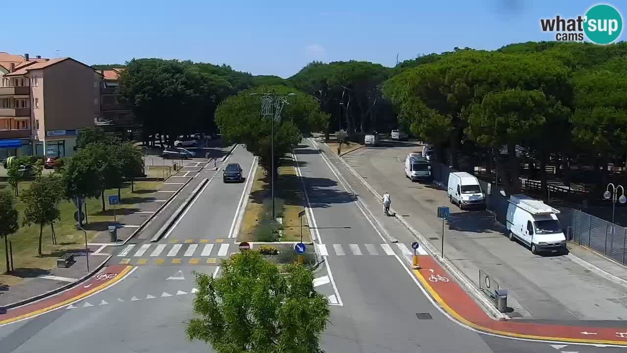 Livecam Rosolina mare