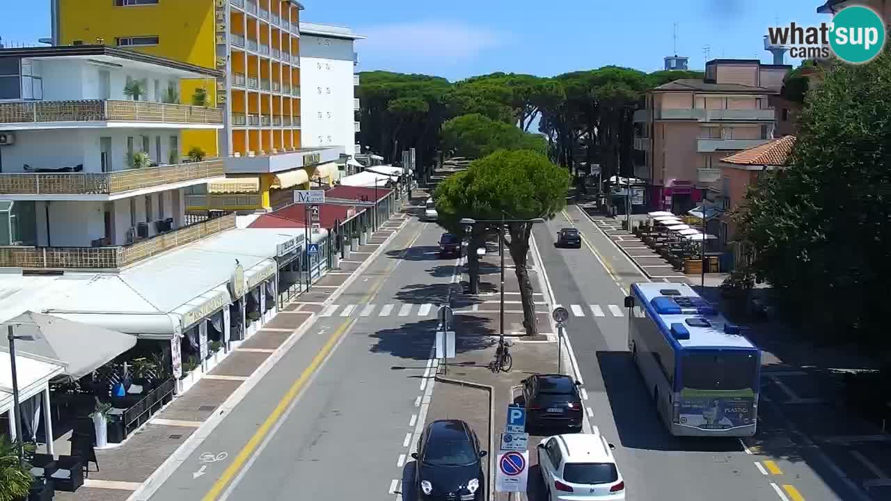 Web kamera Rosolina mare