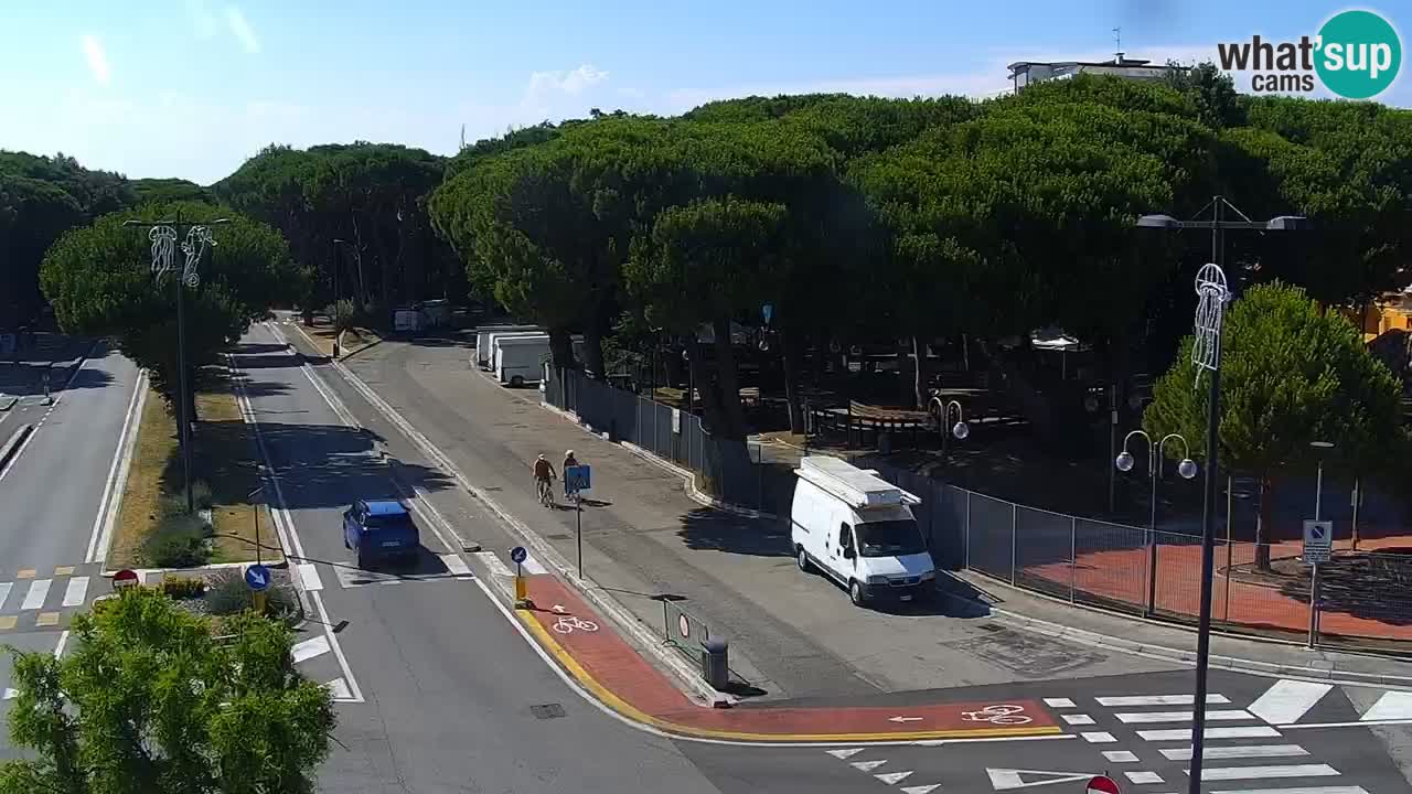 Camera en vivo Rosolina mare