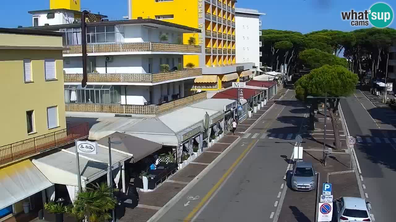Camera en vivo Rosolina mare