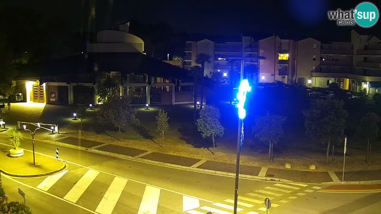 Camera en vivo Rosolina mare