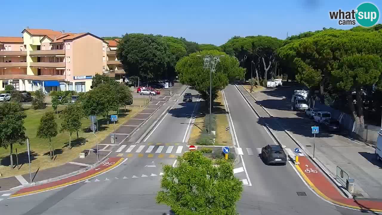 Livecam Rosolina mare
