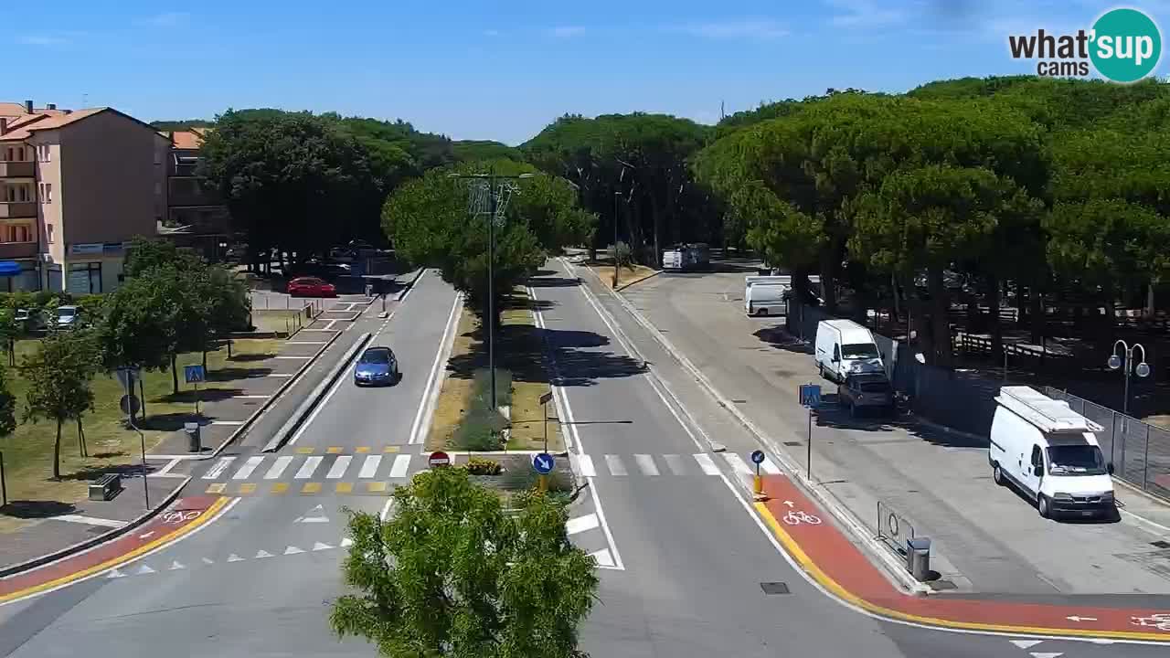 Camera en vivo Rosolina mare