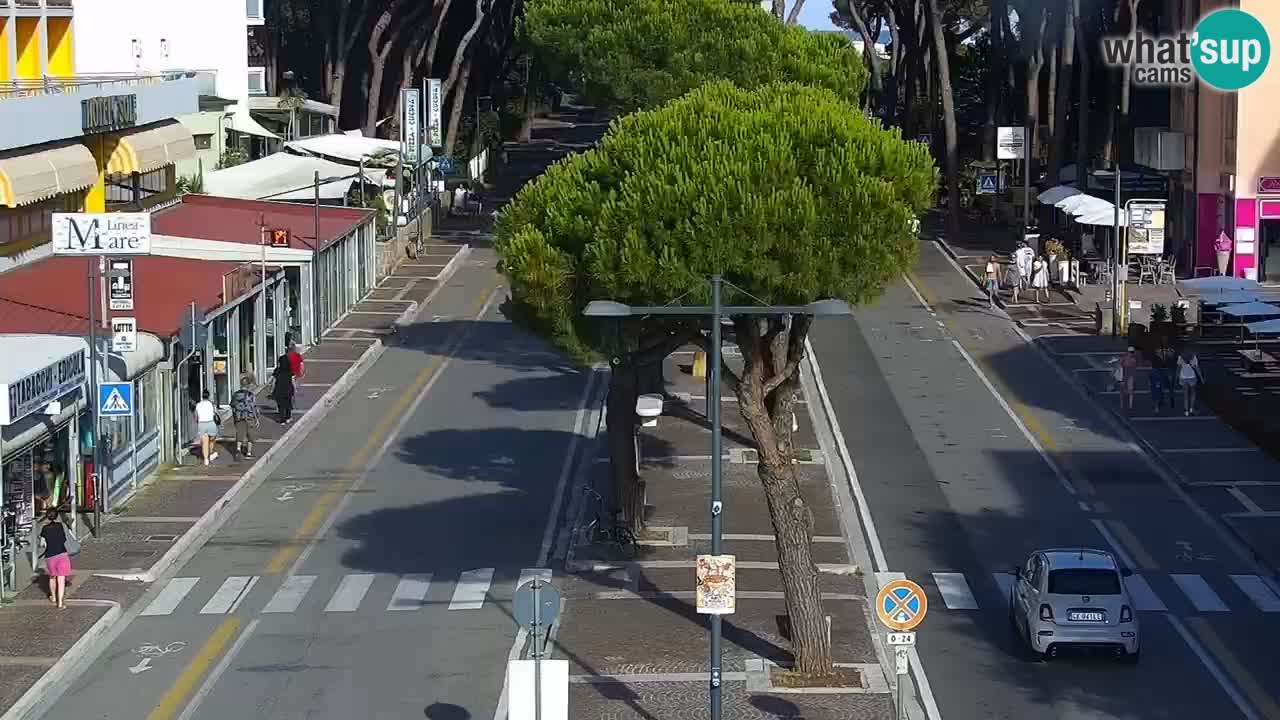 Livecam Rosolina mare